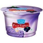 Mother Dairy Fruit Yoghurt - Blueberry