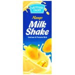 Mother Dairy Milk Shake Mango