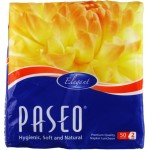 Paseo Luncheon Napkins 2Ply