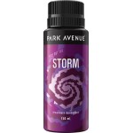 Park Avenue Deo Spray - Storm (Men)