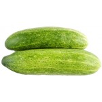 Kheera (Cucumber)