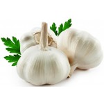 Garlic (Lehsun)