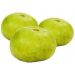 Tinda (Round Gourd)