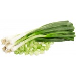 Spring Onion (Hara Pyaaz)