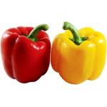 Red-Yellow Capsicum (Bell Peppers)