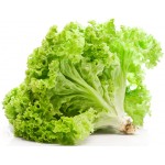 Lettuce Green